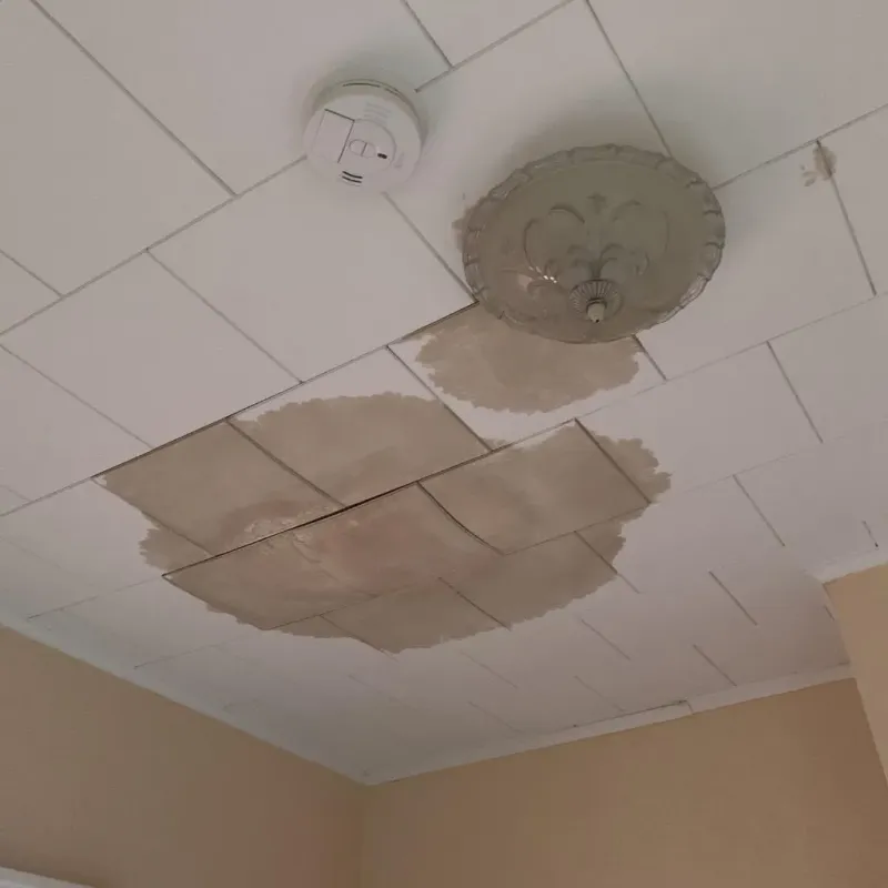 Ceiling Water Damage Repair in Prairieville, LA